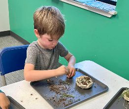 A child working with clay and dirt on a tray